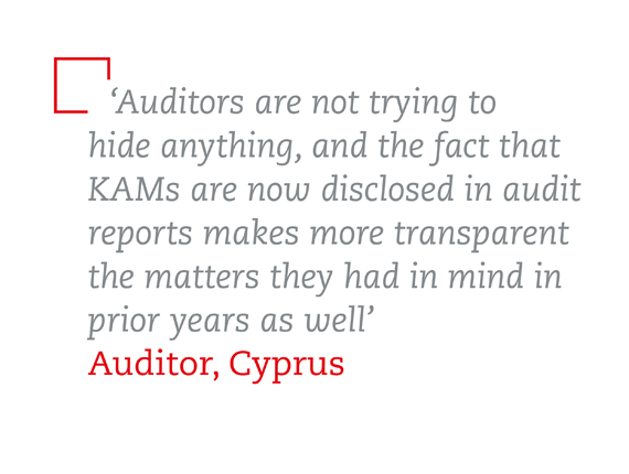 Interview quote from auditor in Cyprus
