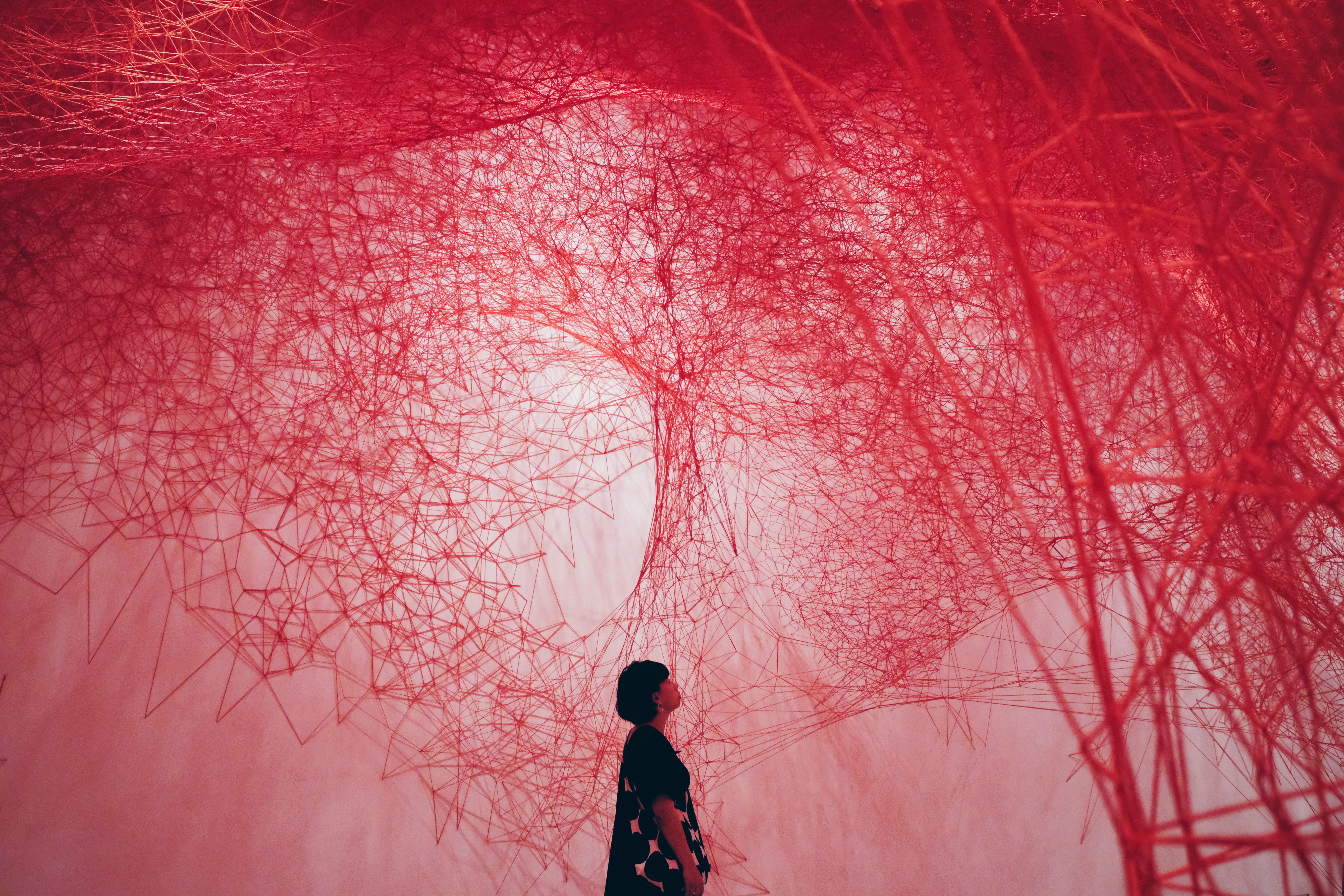 SILHOUETTE OF WOMAN STANDING BY PINK TREE