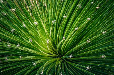growth-400x265 growth-400x265