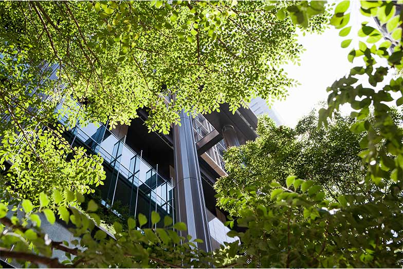 Foliage obscuring building